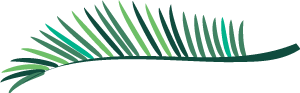 https://tmp.5ceimg.com/net/upload/simg/ae601e356371f5e0d88a8d8d392cd857.jpg
