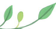 https://tmp.5ceimg.com/net/upload/simg/d51e8204802d46d831b9e940eec4bf43.jpg