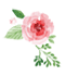 https://tmp.5ceimg.com/net/upload/simg/d77a9ff84fb472ad295ed7a3952c15ba.jpg